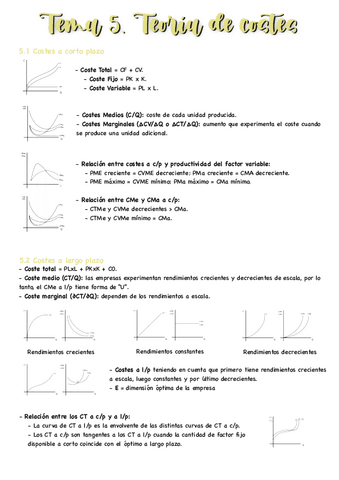 T5-Microeconomia.pdf
