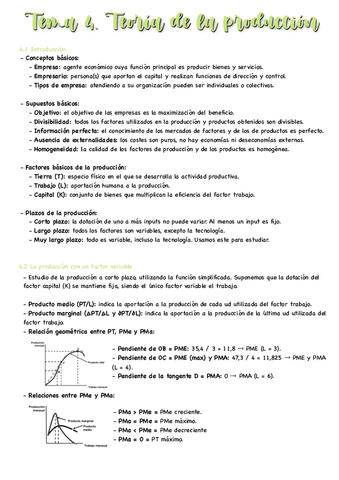 T4-Microeconomia.pdf