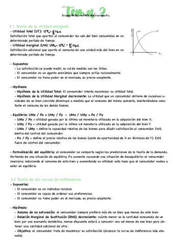 T3-Microeconomia.pdf