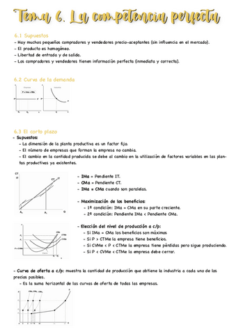 T6-Microeconomia.pdf