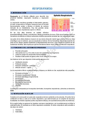 RESPIRATORIO.pdf
