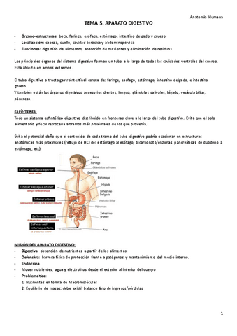 TEMA-5.-Aparato-digestivo.pdf