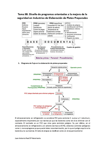 Tema-3B.pdf