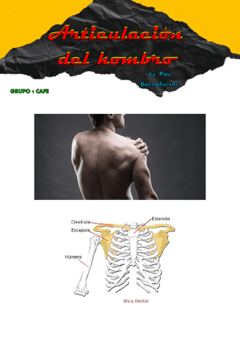 Treball-Articulacio-Espatlla-Anatomia.pdf