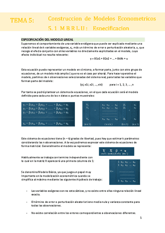 TEMA-5.1.pdf