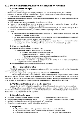 T11.-Lesiones.pdf