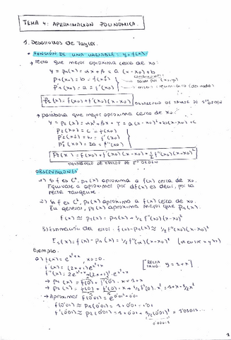 TEMA-4-aproximacion-polinomica.pdf