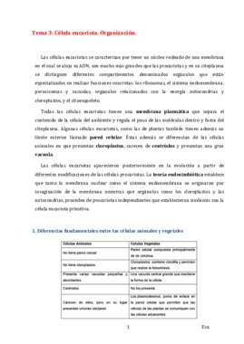 Tema 3_BG.pdf