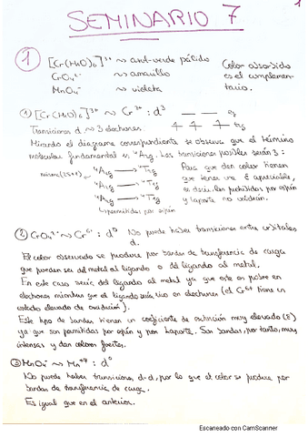 SEMINARIO-7.pdf
