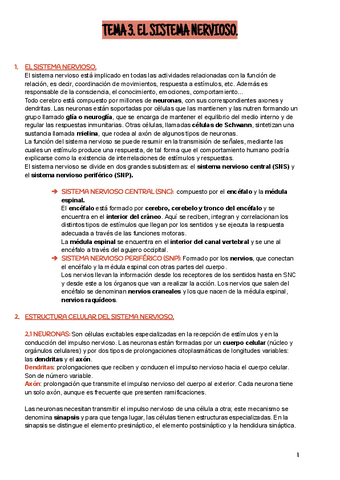 EL-SISTEMA-NERVIOSO.pdf
