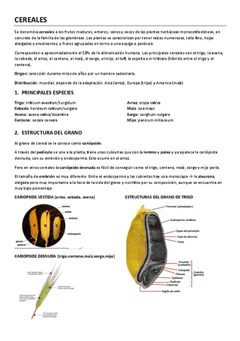 alimentos-de-origen-vegetal.pdf
