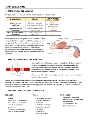 alimentos-origen-animal.pdf