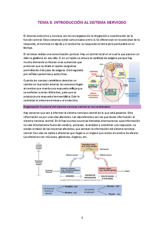 fisiologia-nervioso-y-endocrino.pdf