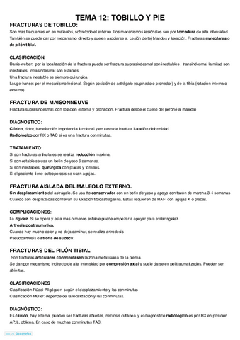 Tema-12.-Resumen.pdf