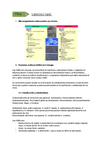 TEMA-10-ELABORACION-DE-VINAGRE.pdf