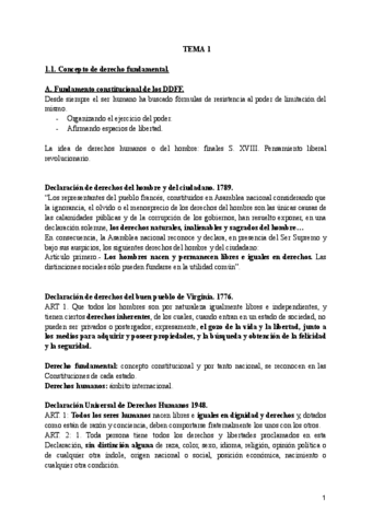 Derechos-fundamentales-y-humanos.pdf