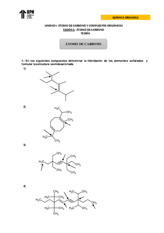 S1.-HOJA-TALLER-TEORIA.pdf