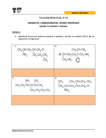 S13-HOJA-TALLER-TEORIA.pdf