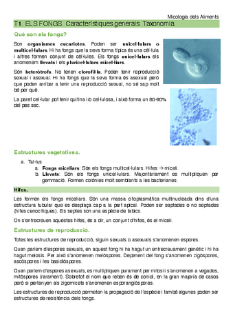 Apunts-Micologia-dels-Aliments.pdf