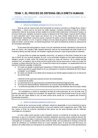 DERECHO-CONSTITUCIONAL-apuntes.pdf