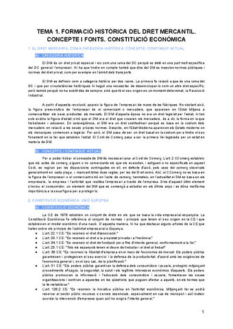 DERECHO-MERCANTIL-apuntes.pdf