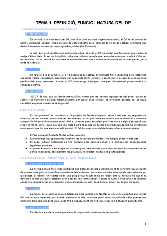 DERECHO-PENAL-apuntes.pdf