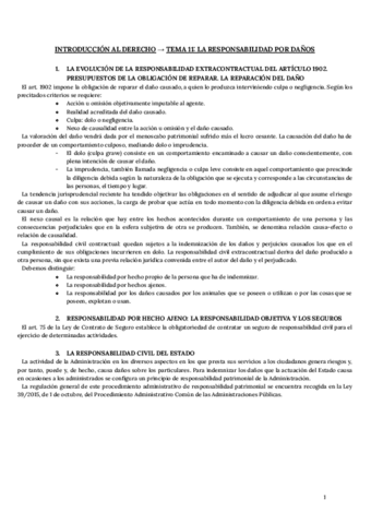 Introduccion-al-Derecho-T11.pdf