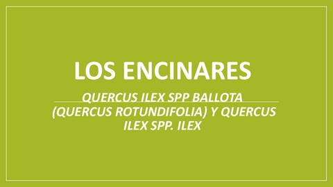 Encinares.pdf