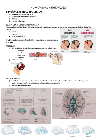 neuro-1.-Patologias-neurologicas.pdf