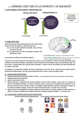 neuro-2-demandas-cognitivas-en-la-ocupacion-y-su-evaluacion.pdf