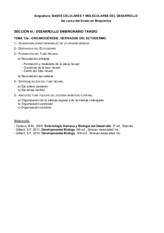 SEGUNDA PARTE Lección 13 I.pdf