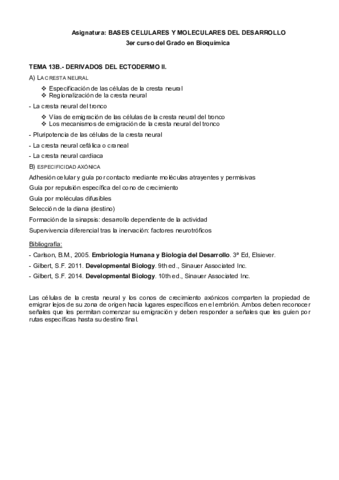 SEGUNDA PARTE Lección 13 II.pdf