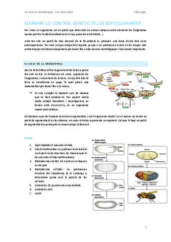 Seminari-12.-Control-genetic-del-desenvolupament.pdf