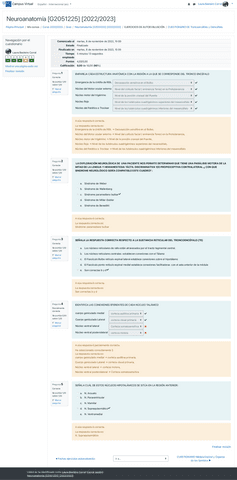 CUESTIONARIO-DE-Troncoencefalo-y-Diencefalo.-Revision-del-intento.pdf