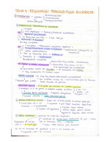 Tema-8-biosintesis.pdf