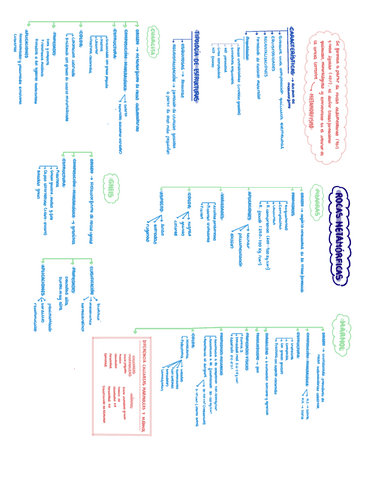 MATERIALES.-2.3.-Rocas-metamorficas.pdf