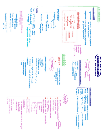 CONGLOMERANTES.pdf