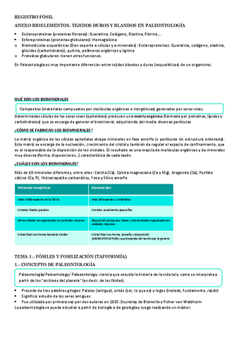 REGISTRO-FOSIL.pdf