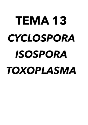 Tema-14.pdf