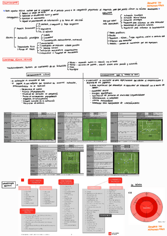 Resumen-Teorico-Futbol.pdf