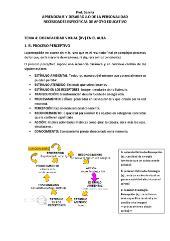 TEMA-4-DISCAPACIDAD-VISUAL.pdf