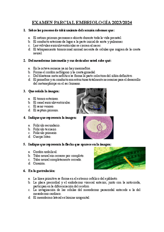 Examen-parcial-embriologia-2324.pdf