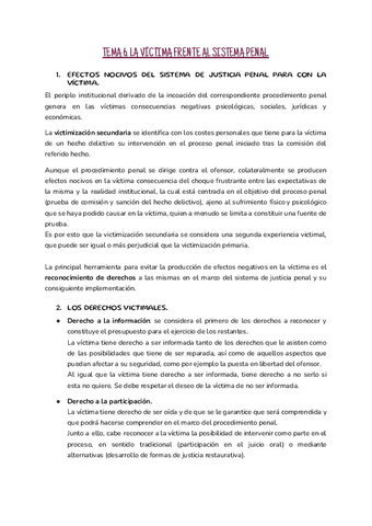 TEMA-6.pdf