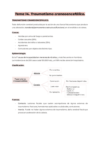 Tema-14.-AMQ-II.pdf
