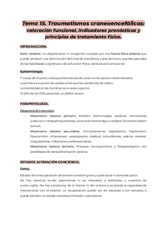 Tema-15.-AMQ-II.pdf