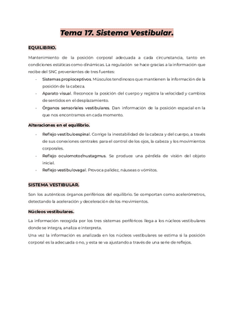 Tema-17.-AMQ-II.pdf