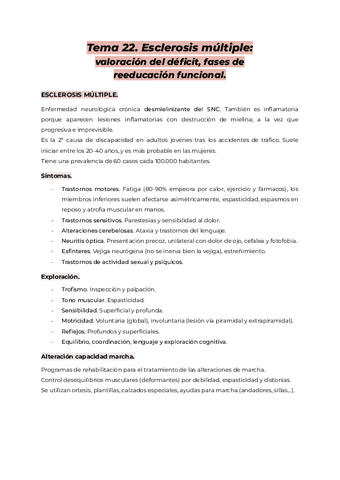Tema-22.-AMQ-II.pdf