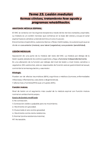Tema-23.-AMQ-II.pdf