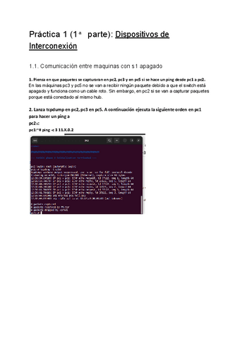P1-dispositivos de interconexion.pdf