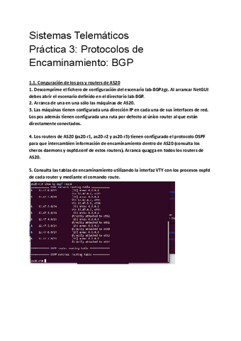 P3-protocolos-de-encaminamiento-BGP.pdf